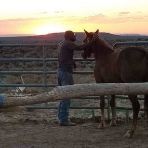 Meet your Posher, Alfred
